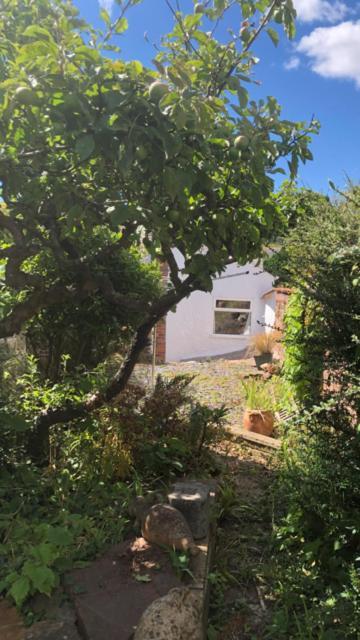 1 Laurel Cottages Dawlish Exterior foto